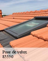 Trouver un couvreur réparation de velux à La Barre De Monts