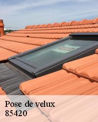 Notre entreprise Artisan Reffin est experte en pose de velux