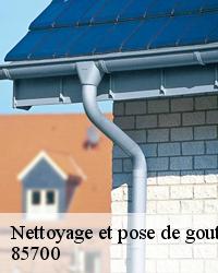 Nettoyage et pose de gouttière à Reaumur