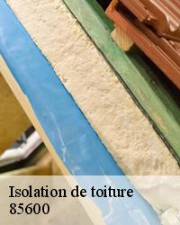 Isolation de comble laine de verre 85600